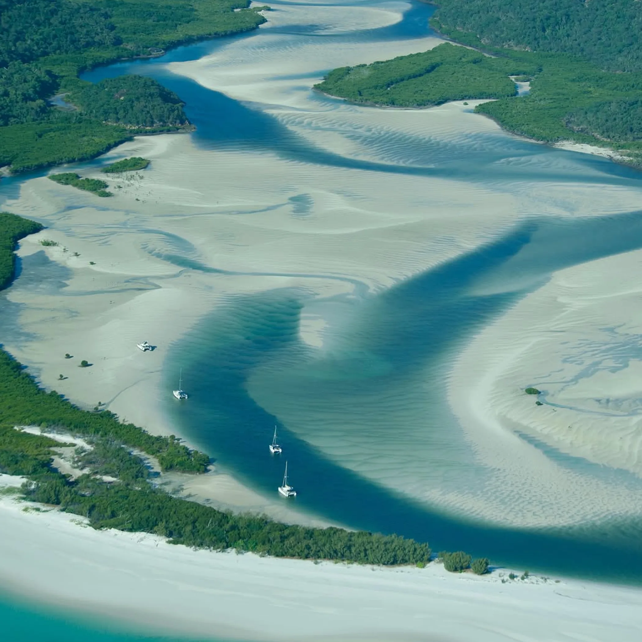 daintree rainforest with waterway view