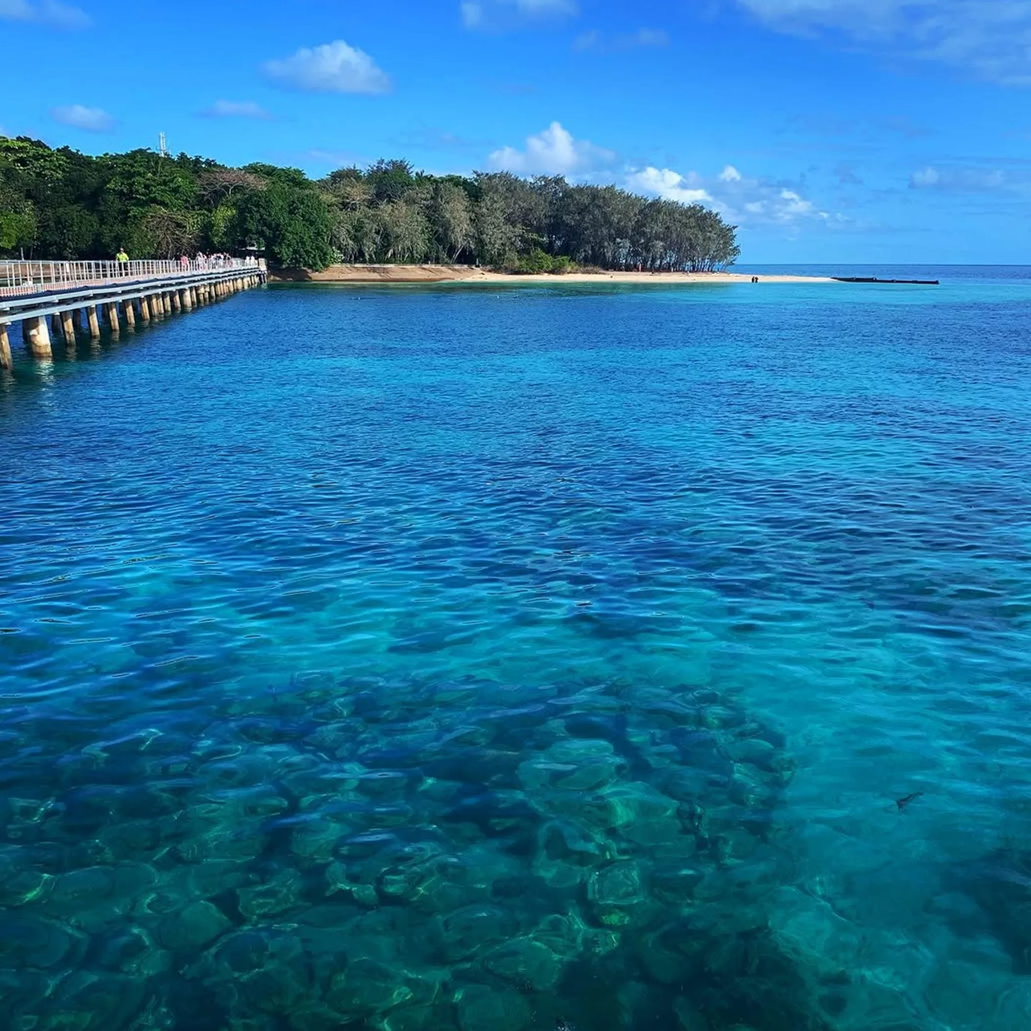 clear water and coral reef underwater