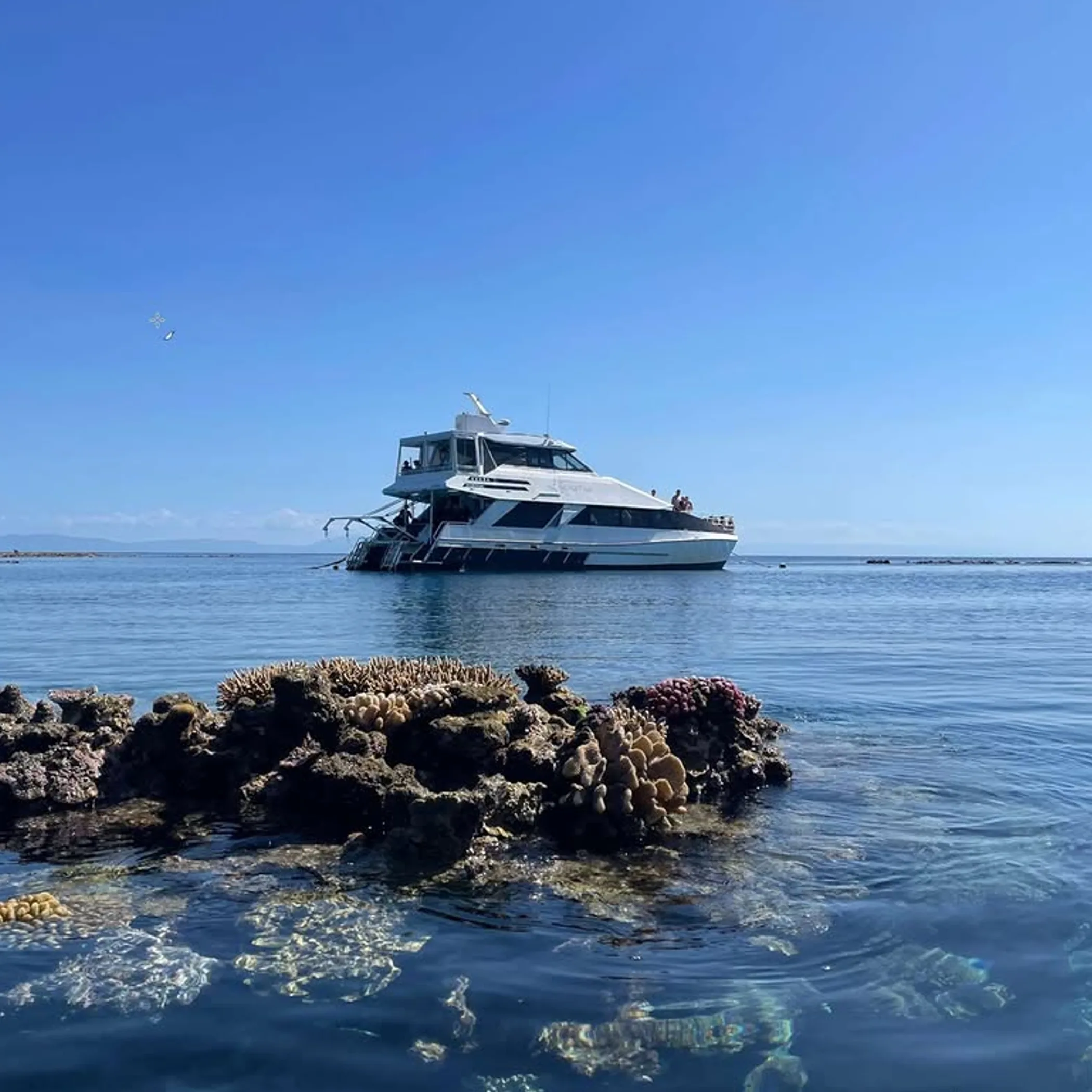 clear reef with boat on water
