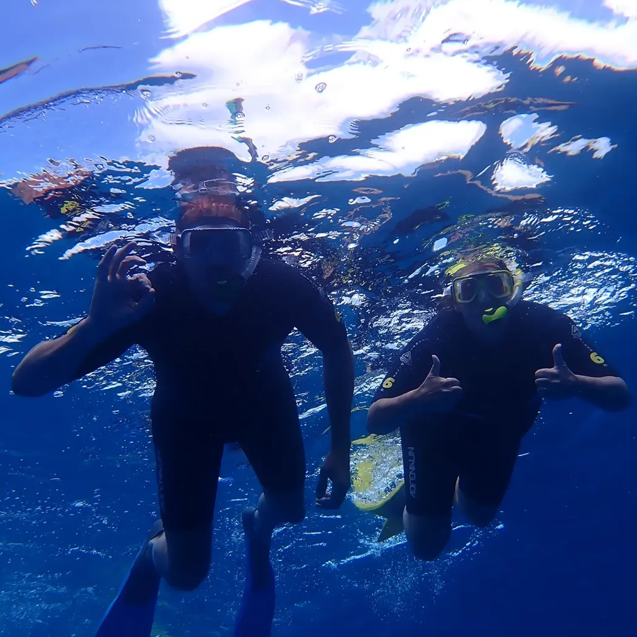 snorkelers exploring clear reef waters