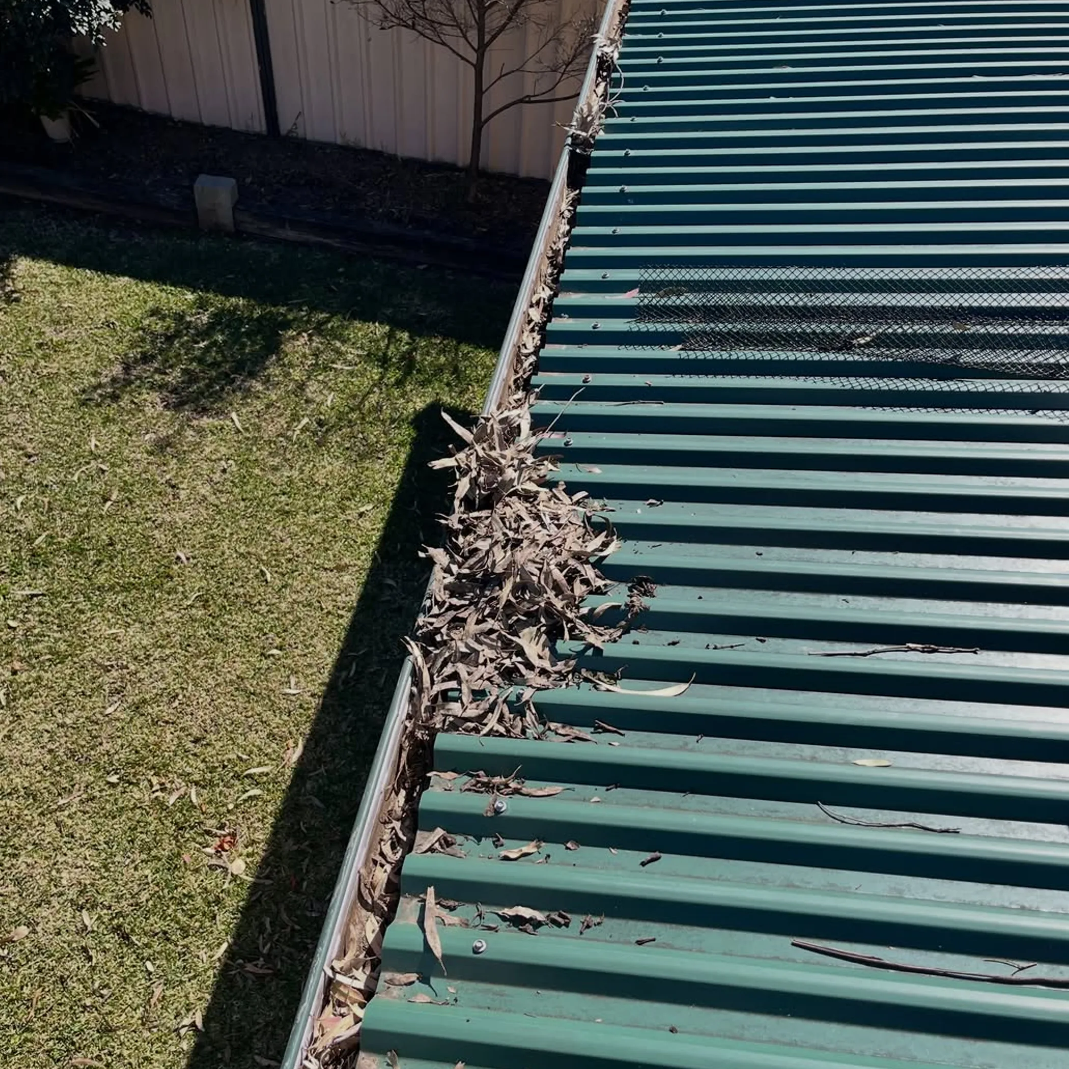 gutter debris for seasonal roof care