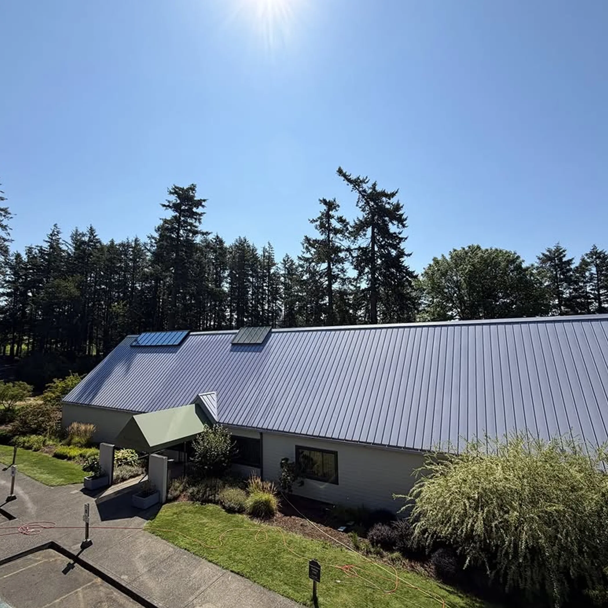 clean metal roof and fir trees