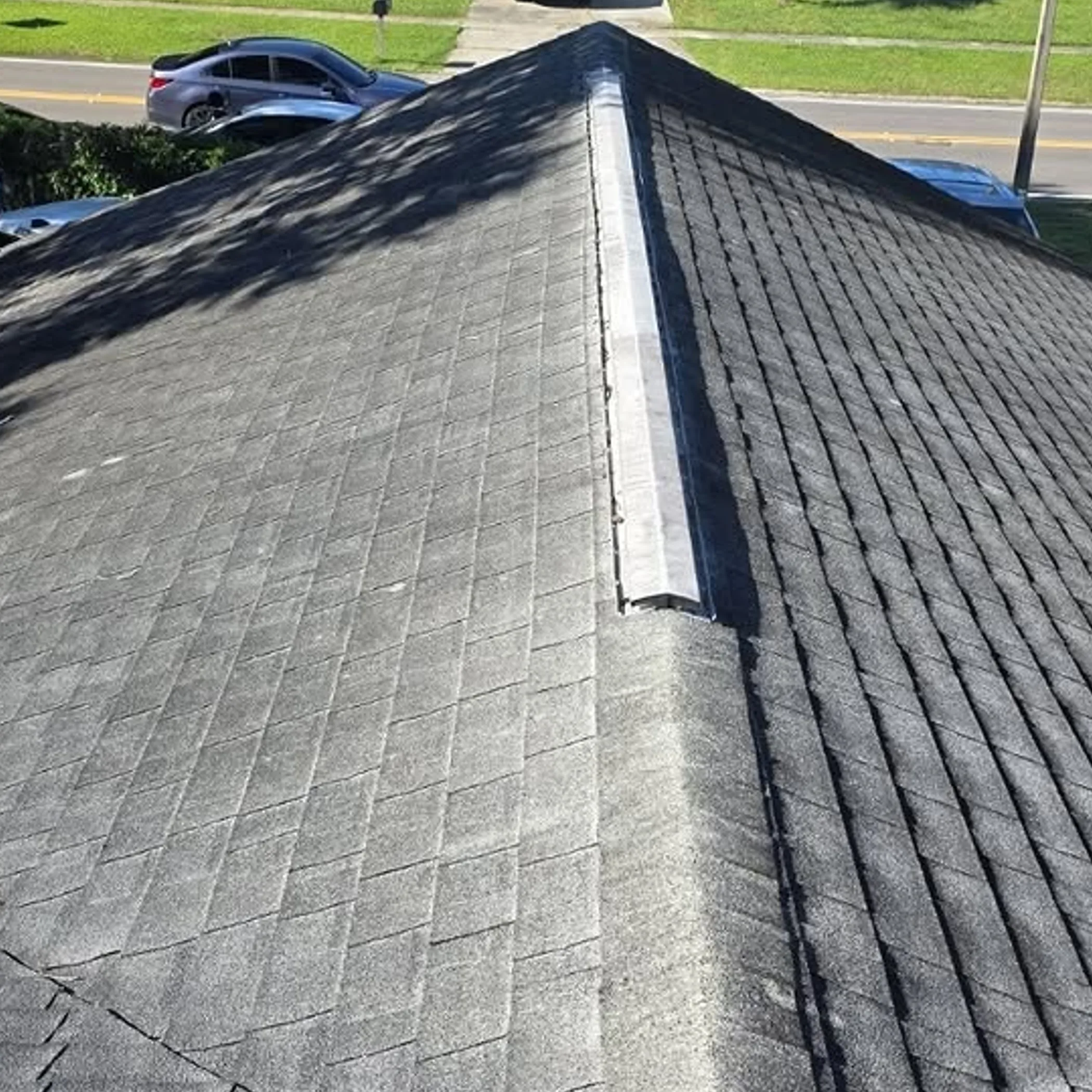 shingle roof with organic buildup