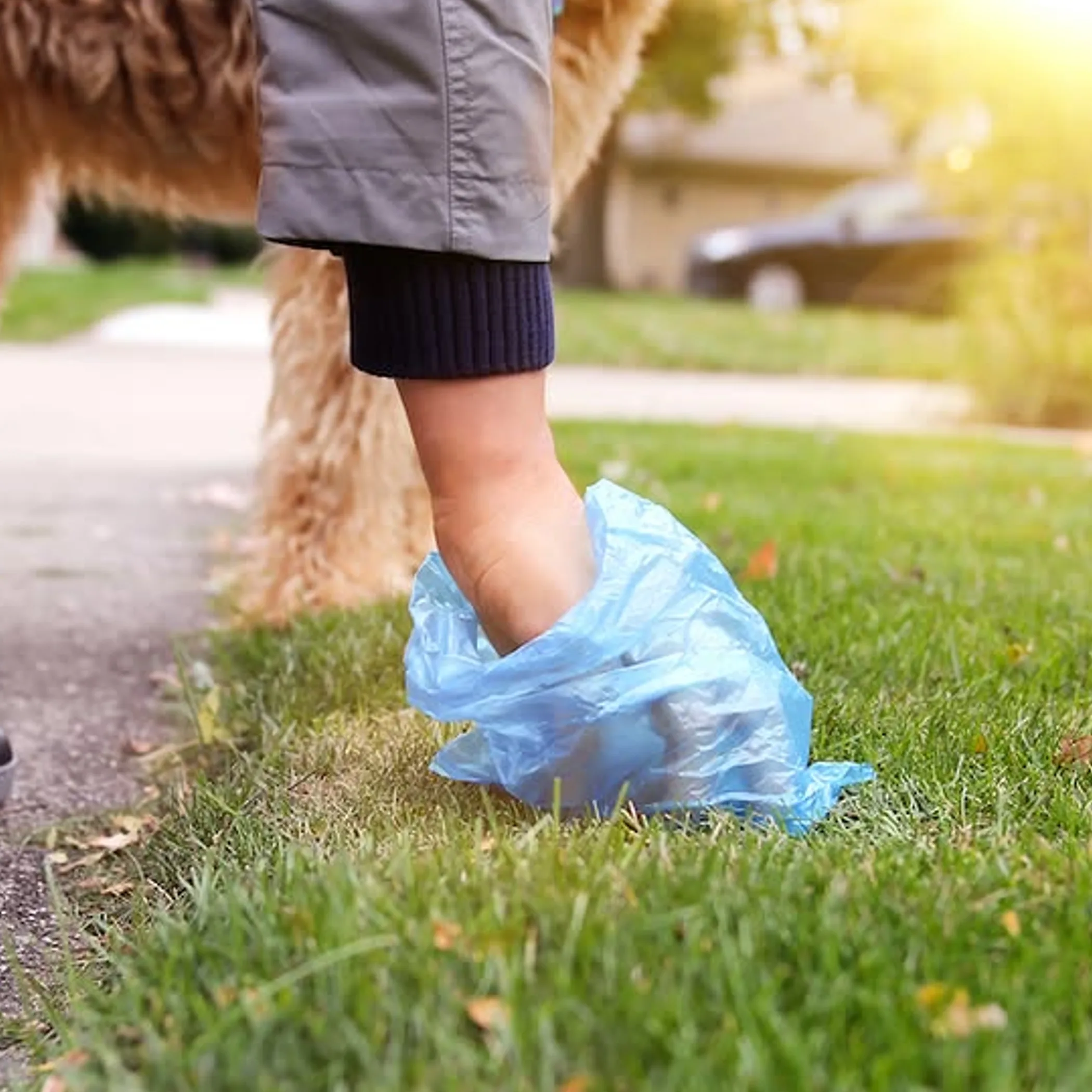 wastewater overflow and stormwater pollution